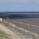 Mit Meerblick - Direktzugang Zur Nordsee Apartmán *