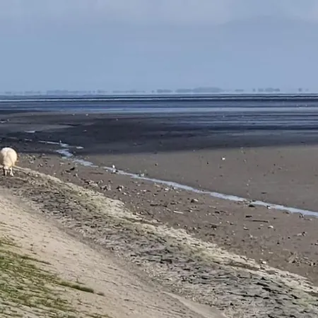 Mit Meerblick - Direktzugang Zur Nordsee 아파트 *