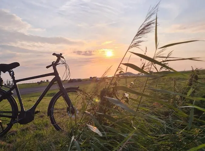 Lägenhet Mit Meerblick - Direktzugang Zur Nordsee *